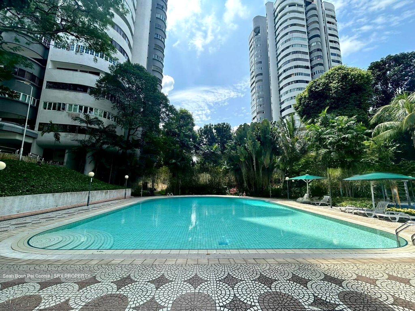 Teresa Ville (D4), Condominium #447839541
